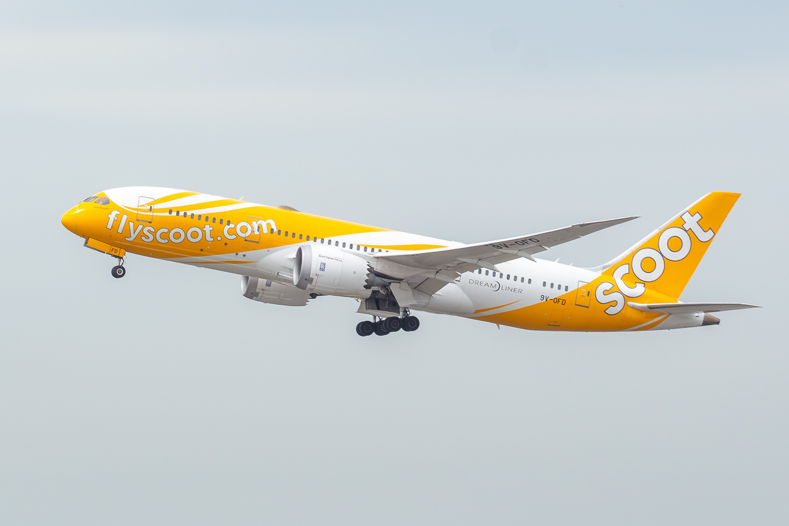 Flight Voucher by SCOOT: 594.6 SGD Only of 535.14 SGD